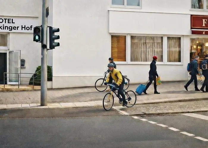 希克灵格酒店 *