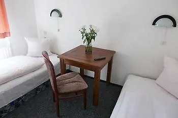 酒店 希克灵格酒店 *